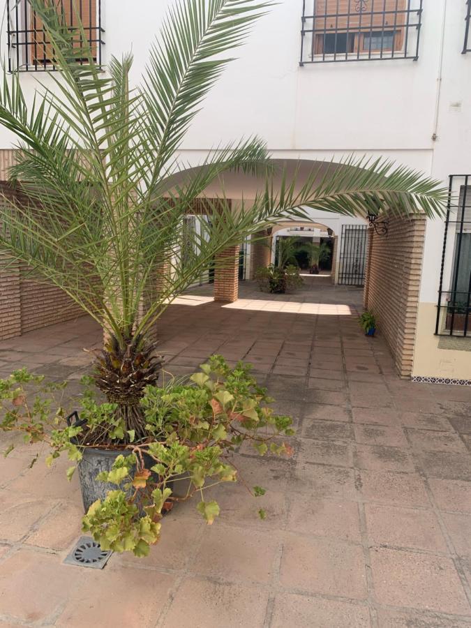 Апартаменти Apartamento A Estrenar A Un Minuto Del Alcazar Кордова Екстер'єр фото